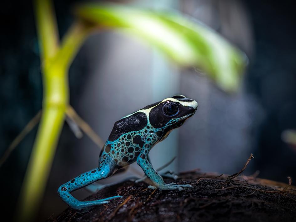 National Geographic Photo Of The Day